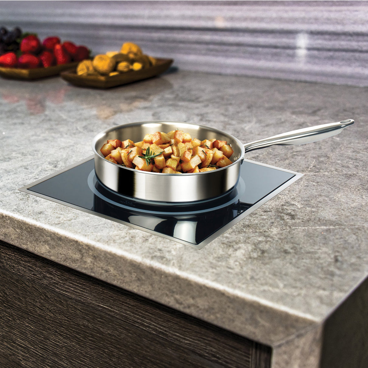 Spectrum Drop-In Induction Cookers