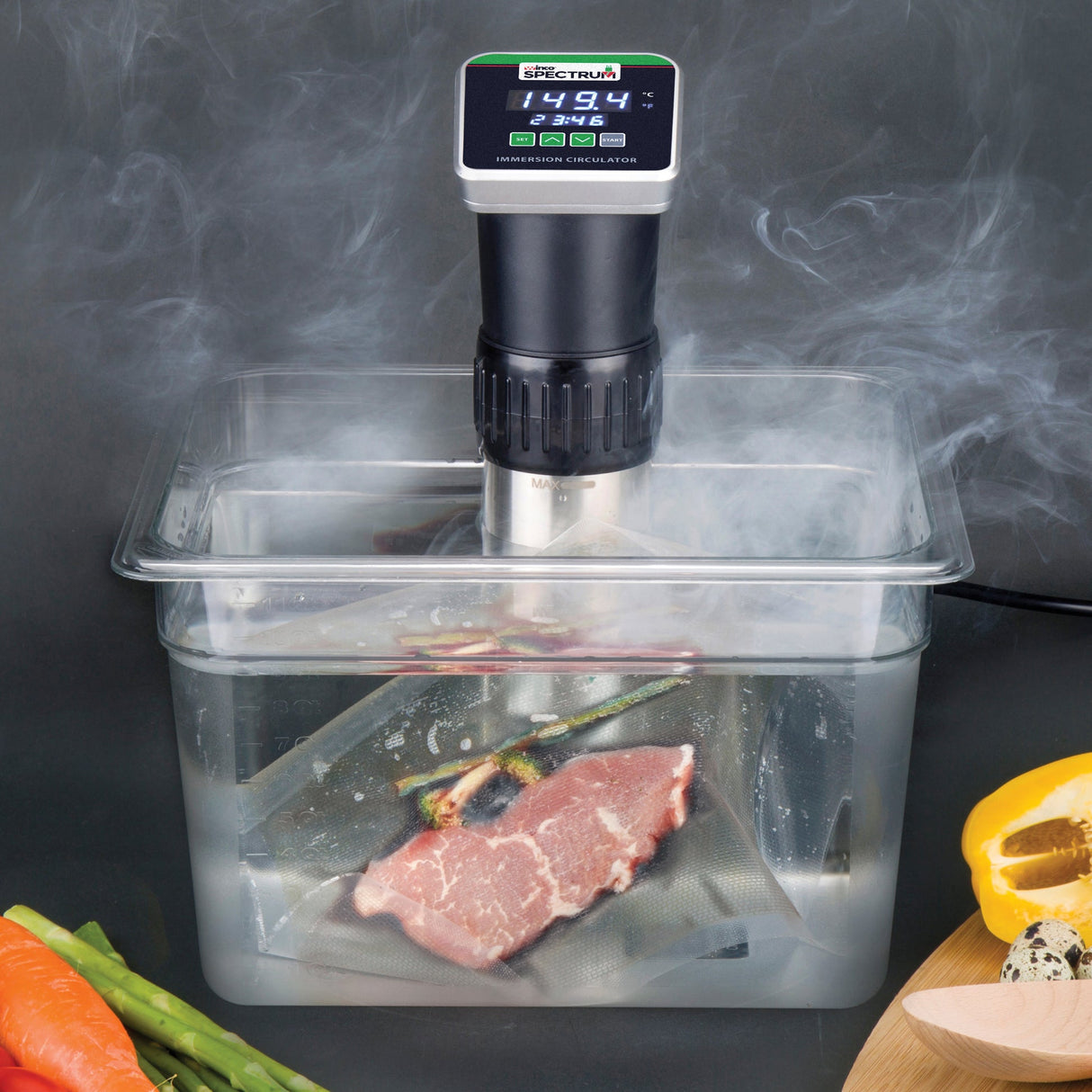 Immersion Circulator