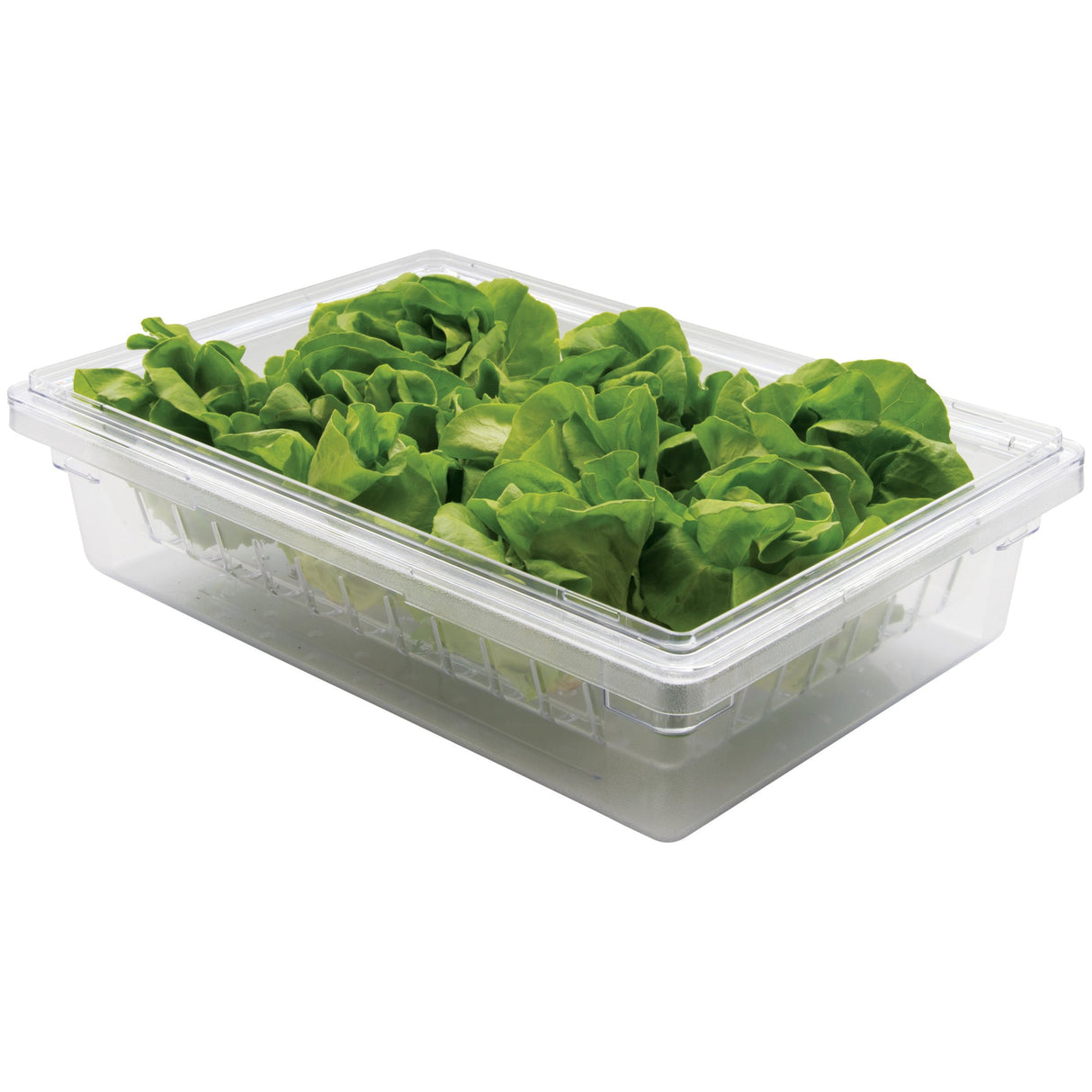 Clear Polycarbonate Colander