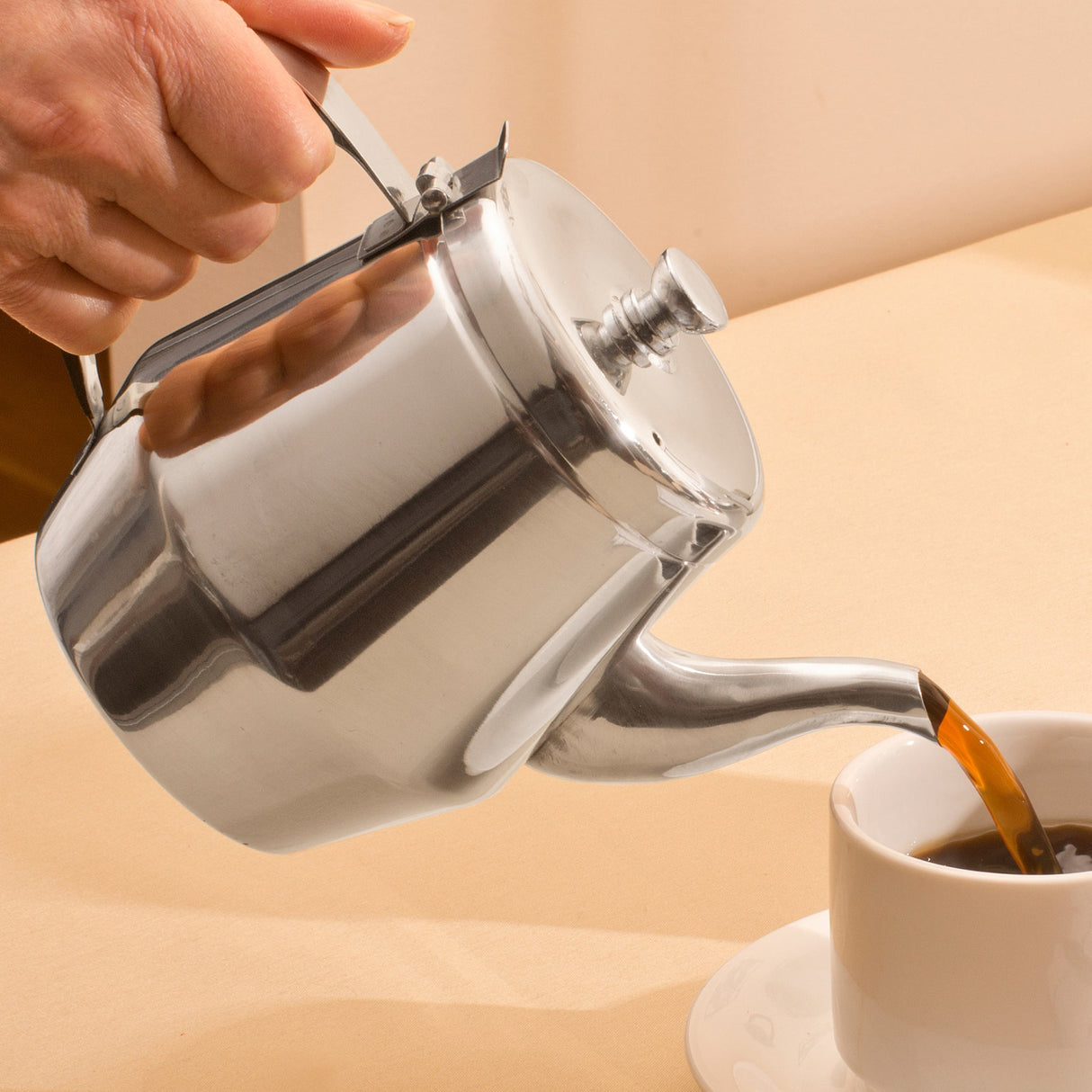 Gooseneck Teapot, Stainless Steel