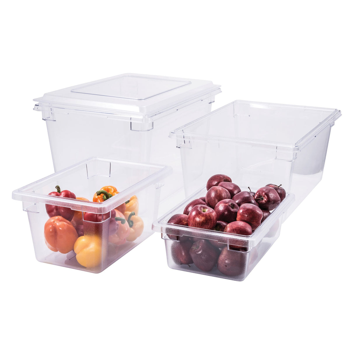 Food Storage Box, Clear Polycarbonate