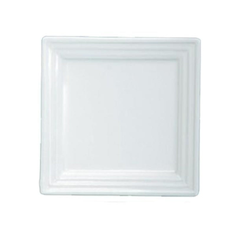 24 Pack Yanco Pride Land 10" Square Plate